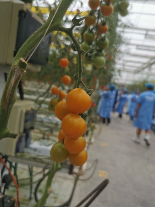 与学生一起走进现代农业 感受科技的力量 ——农林经济管理专业开展认知实习